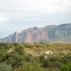 Los Mallos de Riglos / Aragon