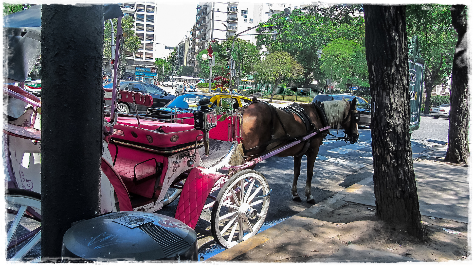 Los medios de transporte