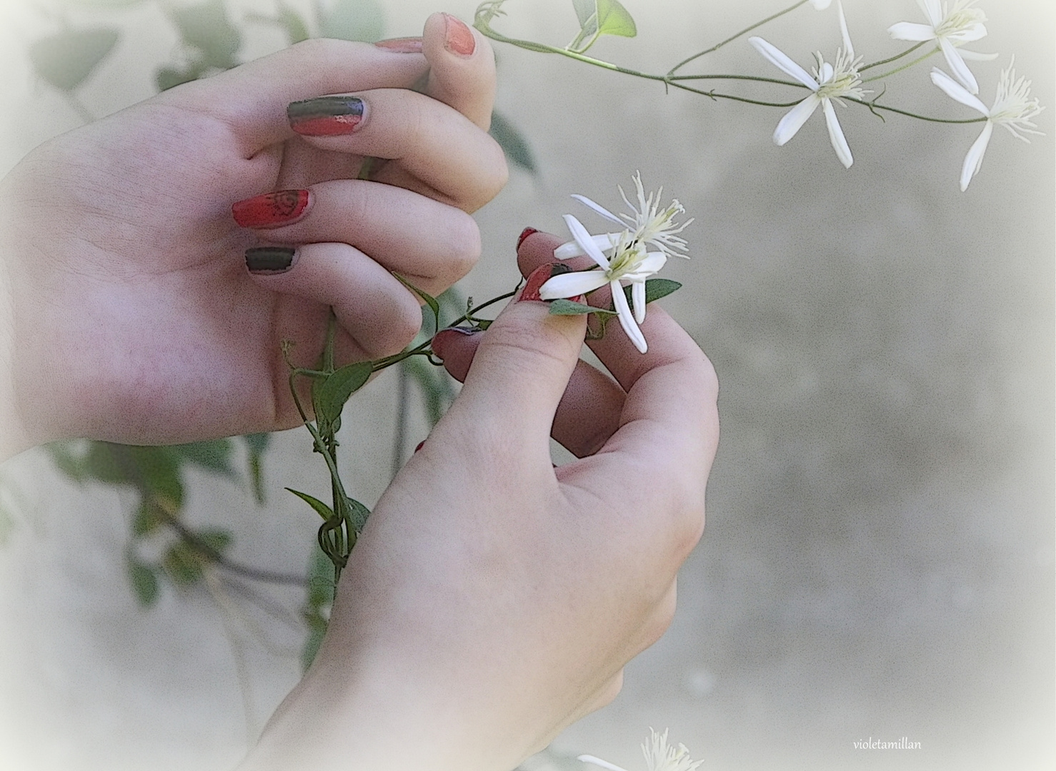 LOS MILAGROS DE LAS FLORES