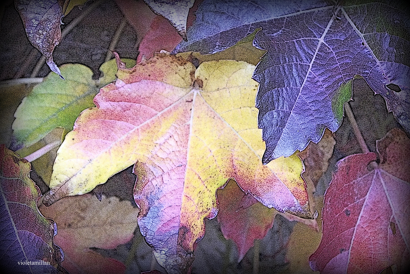 LOS MILAGROS DEL OTOÑO