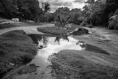 Los Mogotes. Córdoba. Argentina