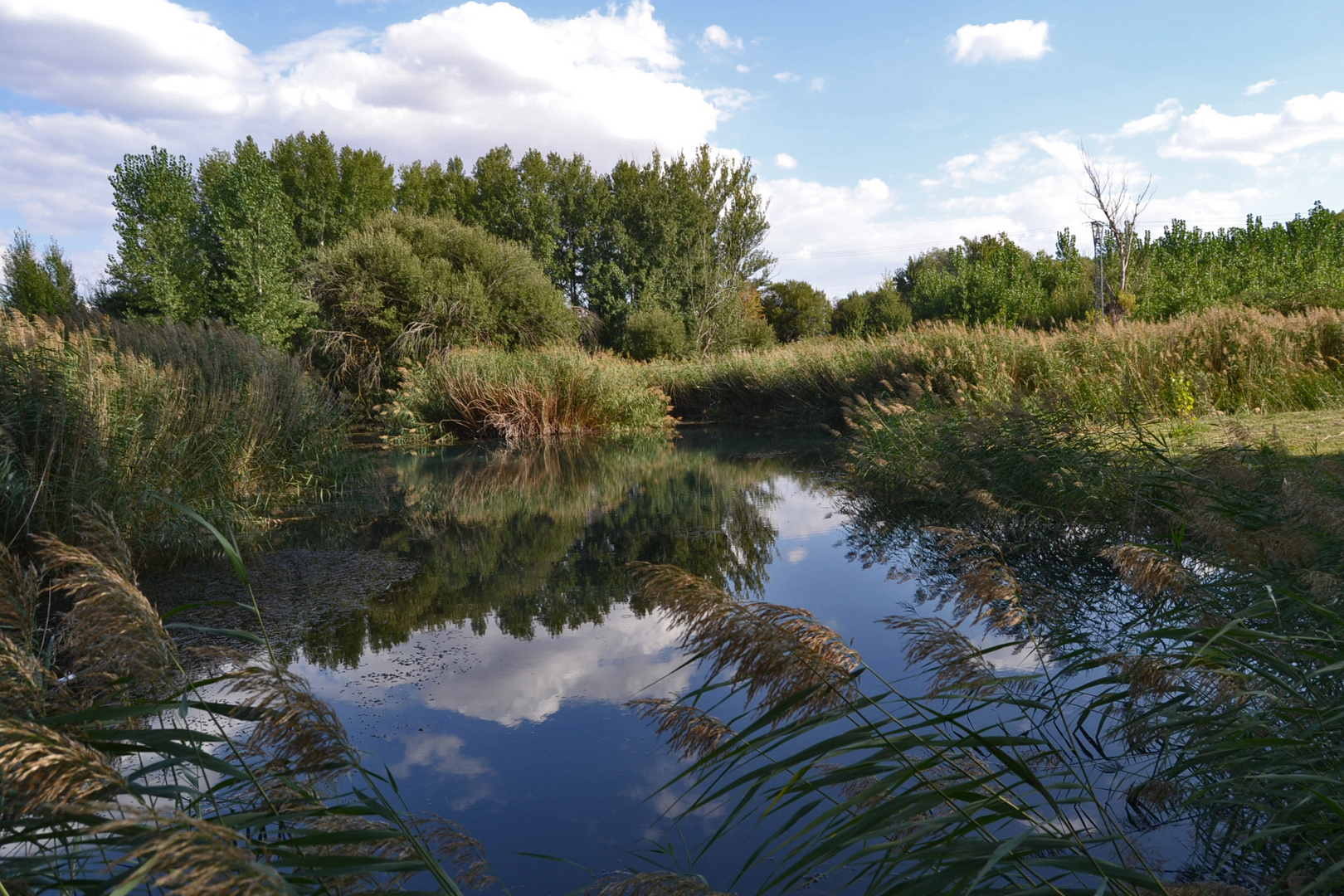 LOS OJOS DEL JILOCA MONREAL DEL CAMPO