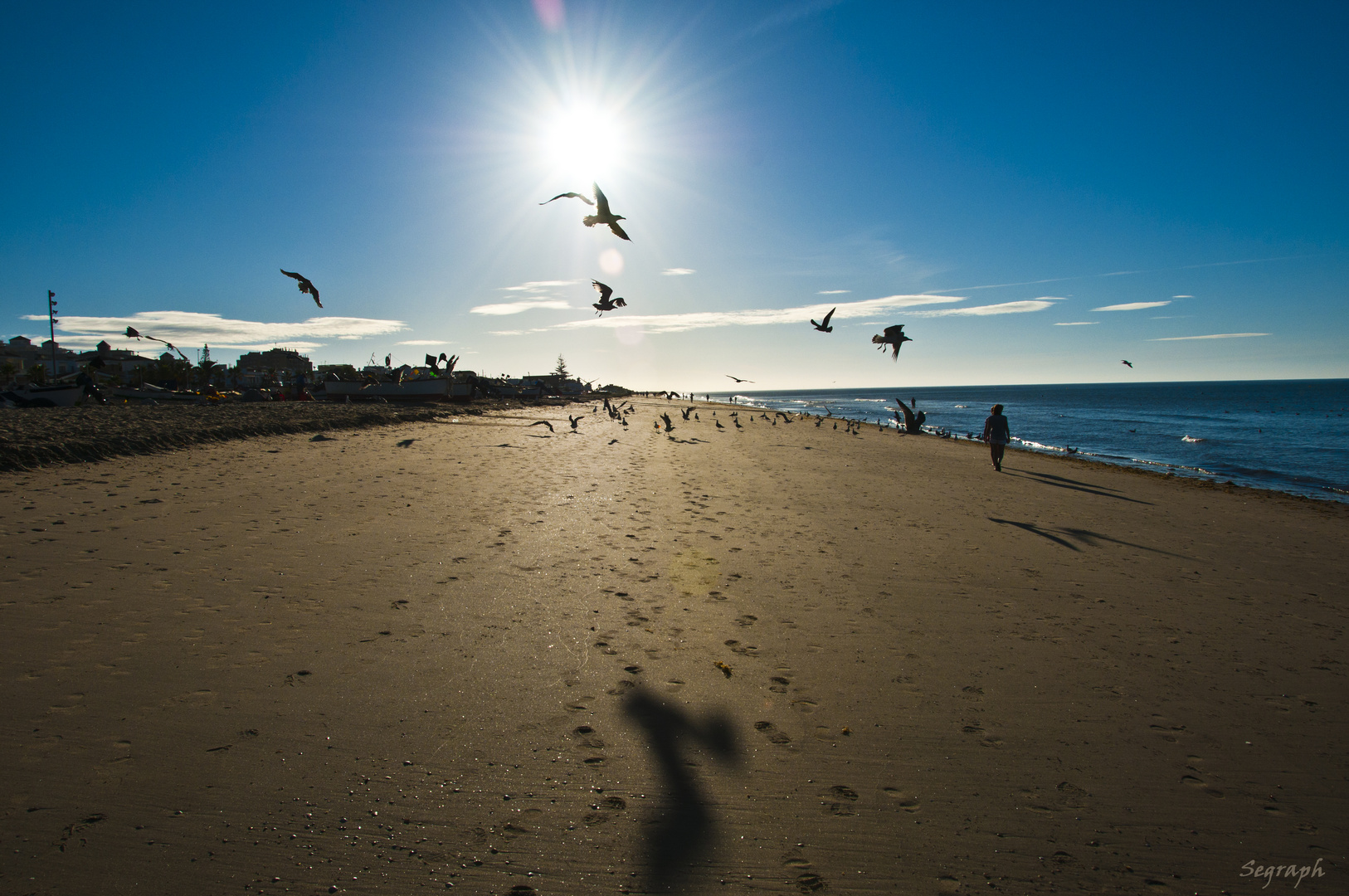 Los pájaros