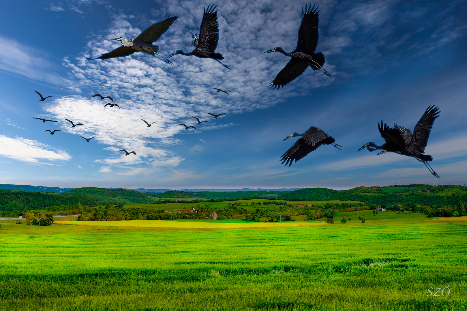 Los Pájaros