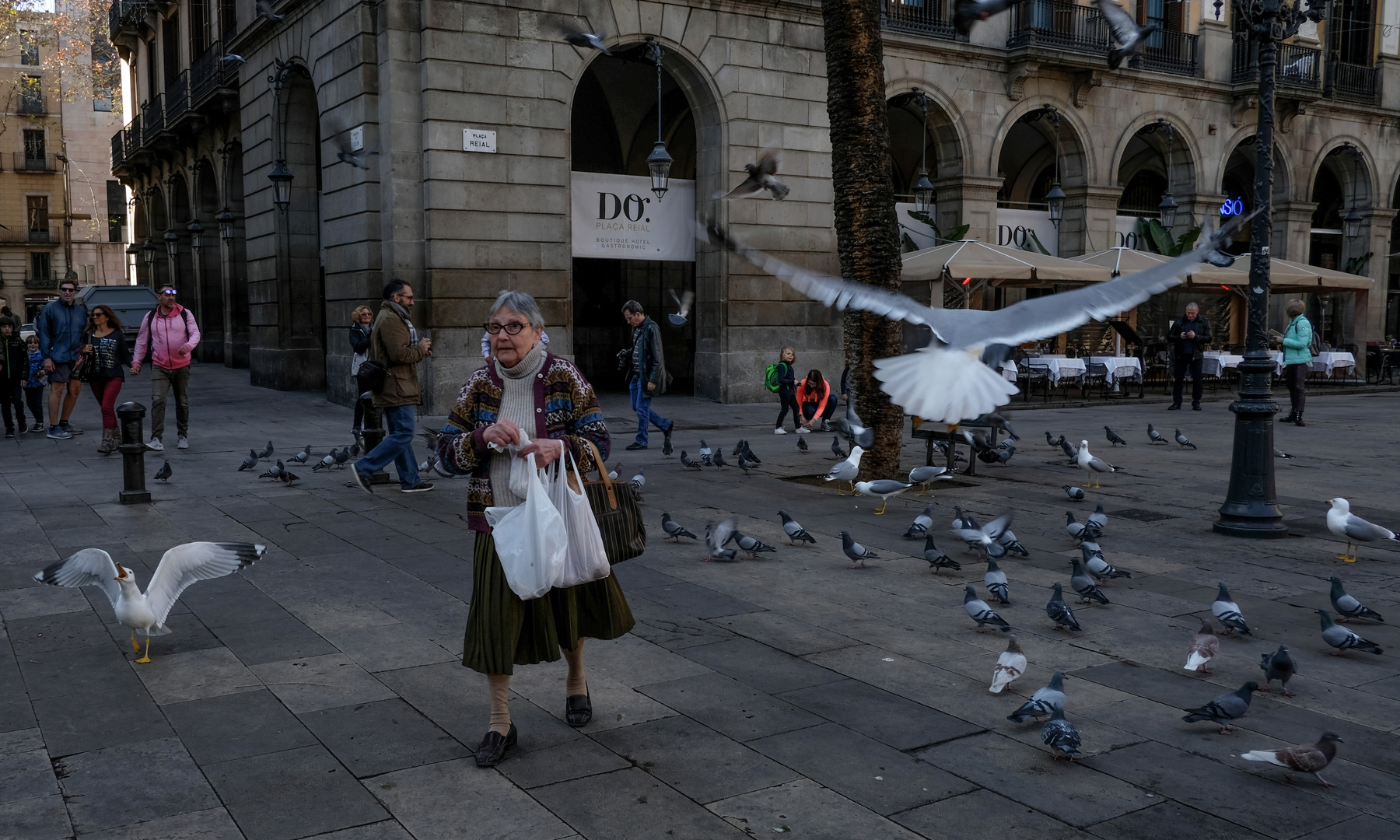 Los Pajaros