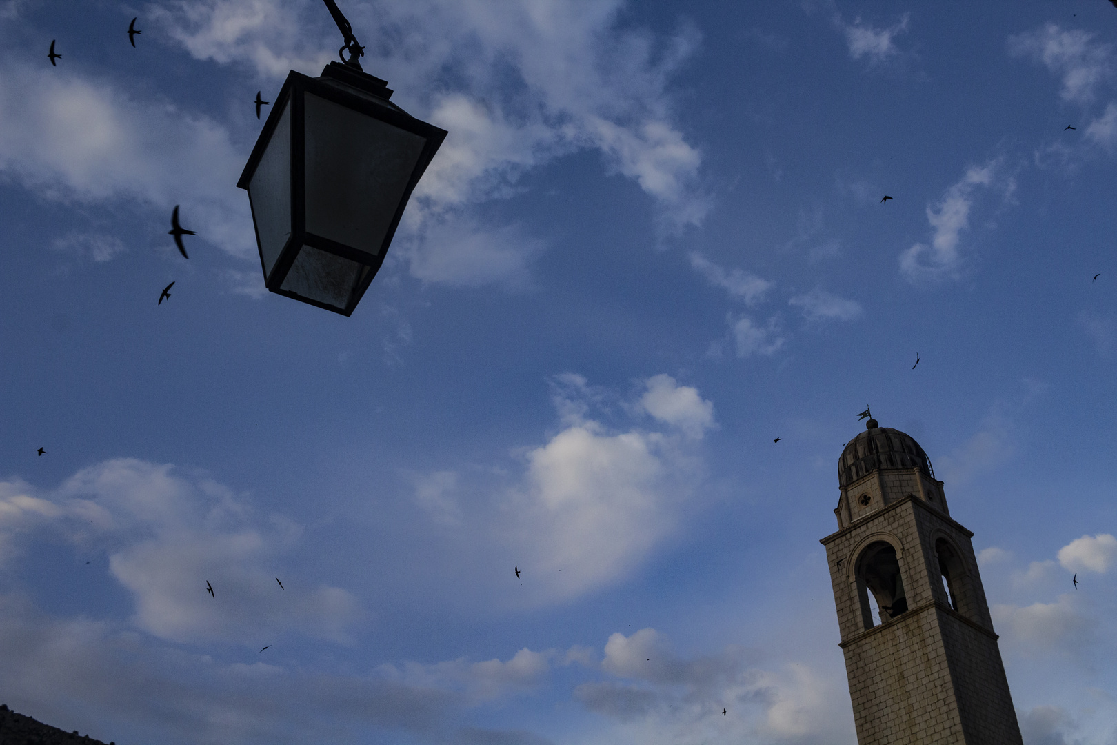 Los pájaros en Dubrovnik