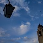 Los pájaros en Dubrovnik