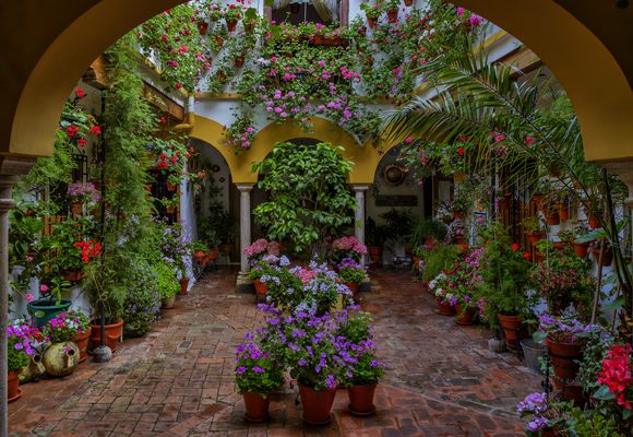 LOS PATIOS DE CÓRDOBA