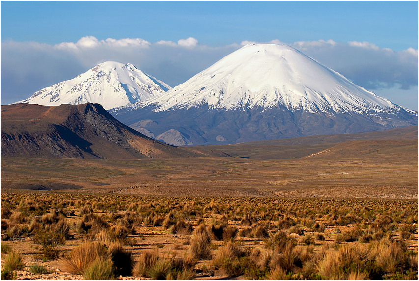 Los Payachatas, PN Lauca