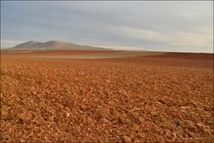 Los pechos de Cardejón