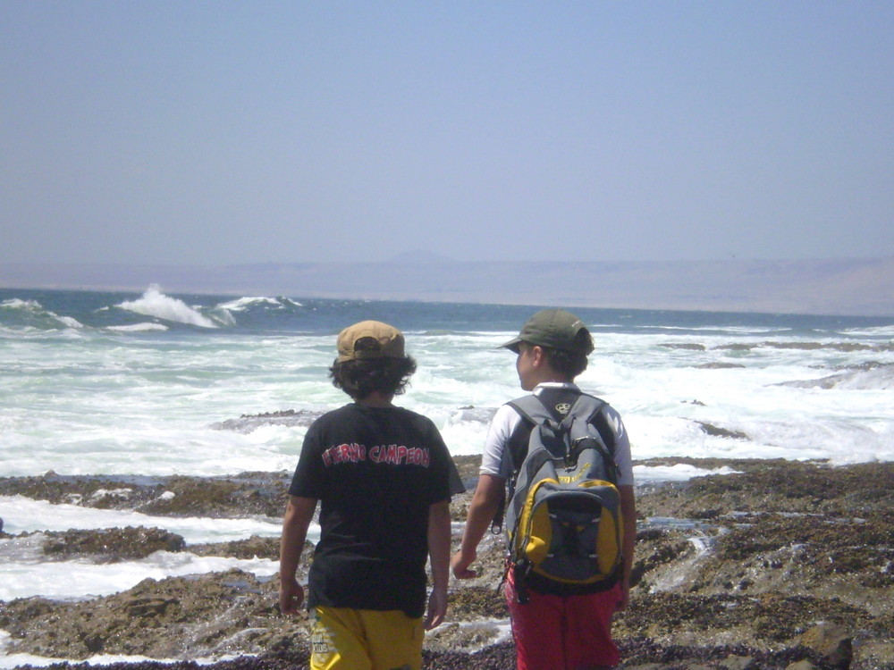 los primos y el mar