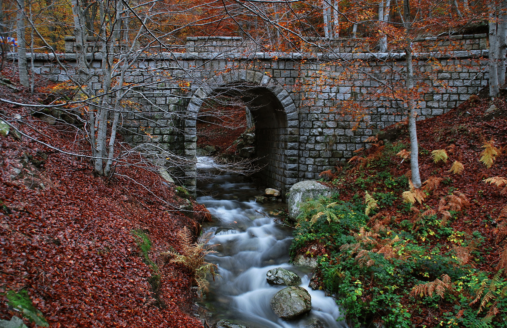 Los puentes unen