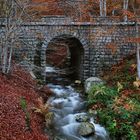 Los puentes unen