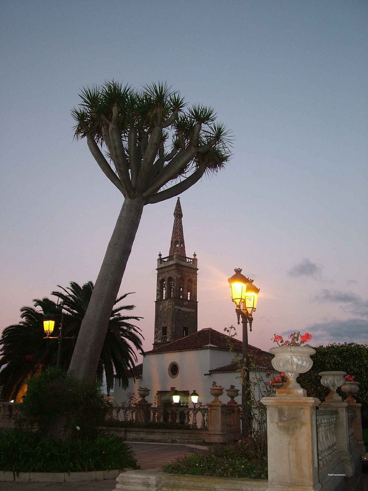 Los Realejos Tenerife