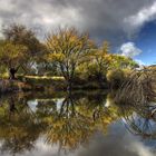 Los reflejos del otoño