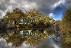 Los reflejos del otoño