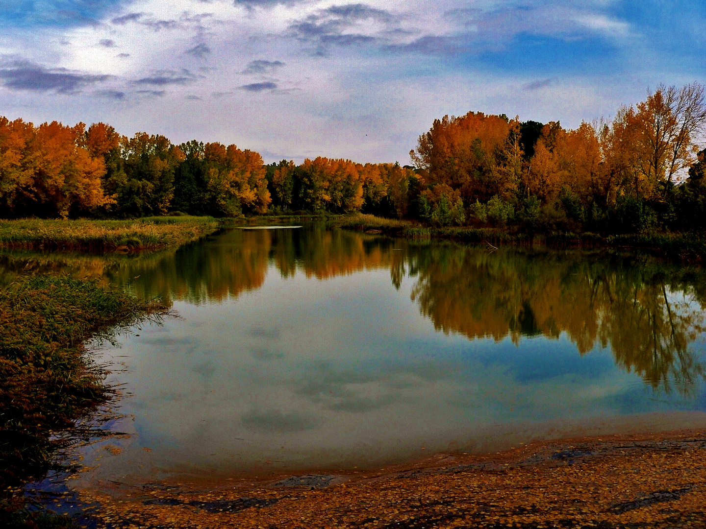 LOS REFLEJOS DEL OTOÑO.