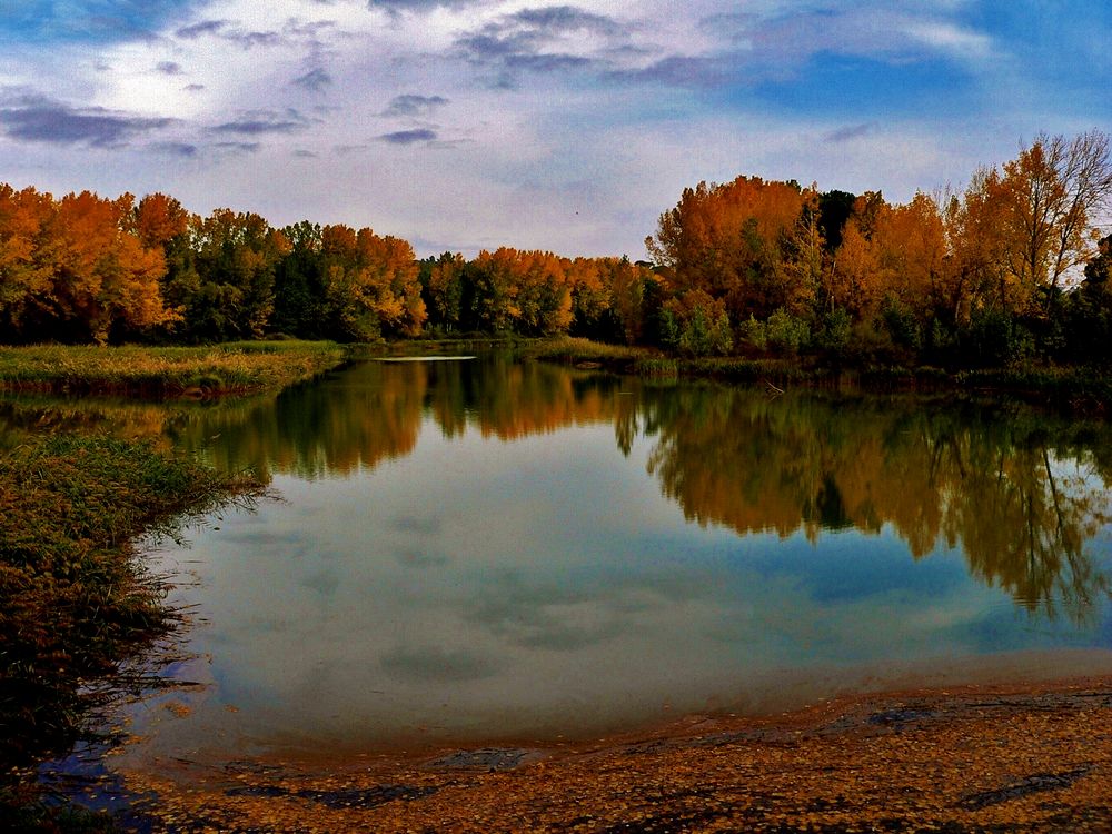 LOS REFLEJOS DEL OTOÑO. de ANTONIO MARTIN CALLEJAS 