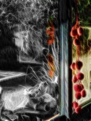 Los reflejos en la ventana