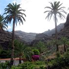 Los Reyes Bergblick - La Gomera