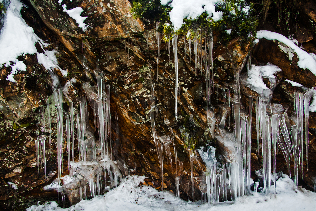 Los rigores del invierno