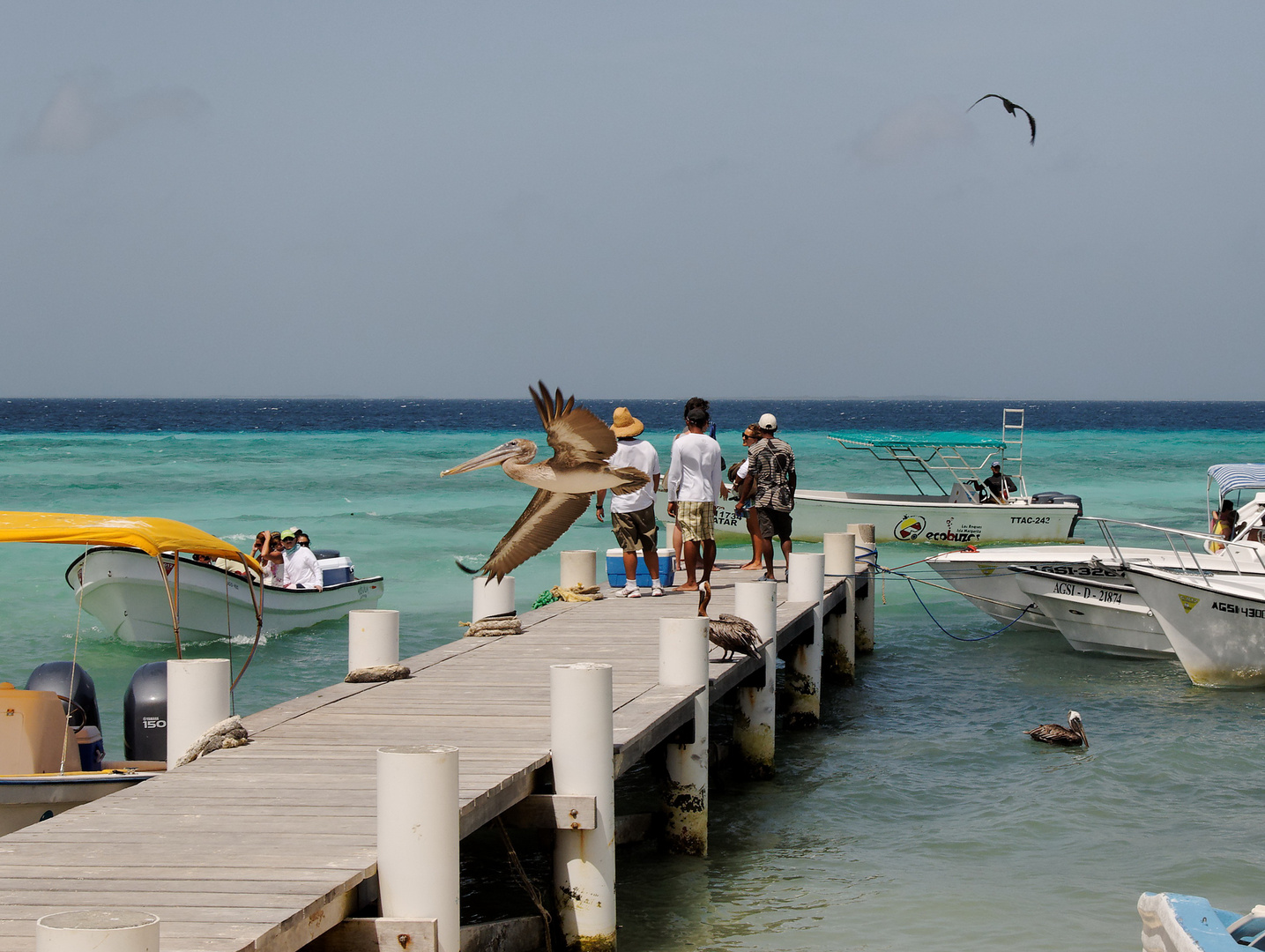 Los Roques