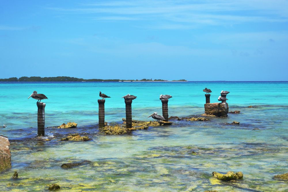 Los Roques - Venezuela by Caup 