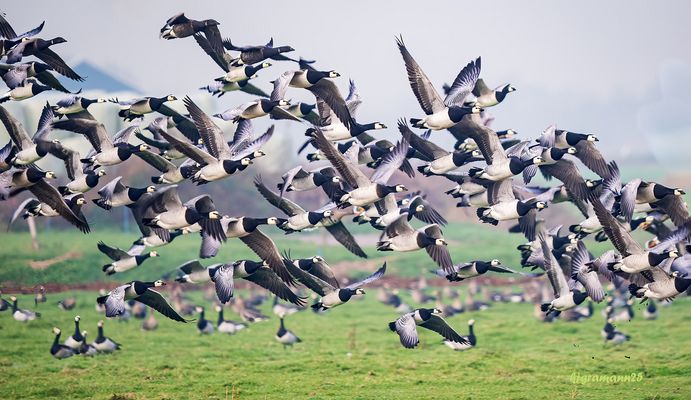 los, schnell weg hier ...