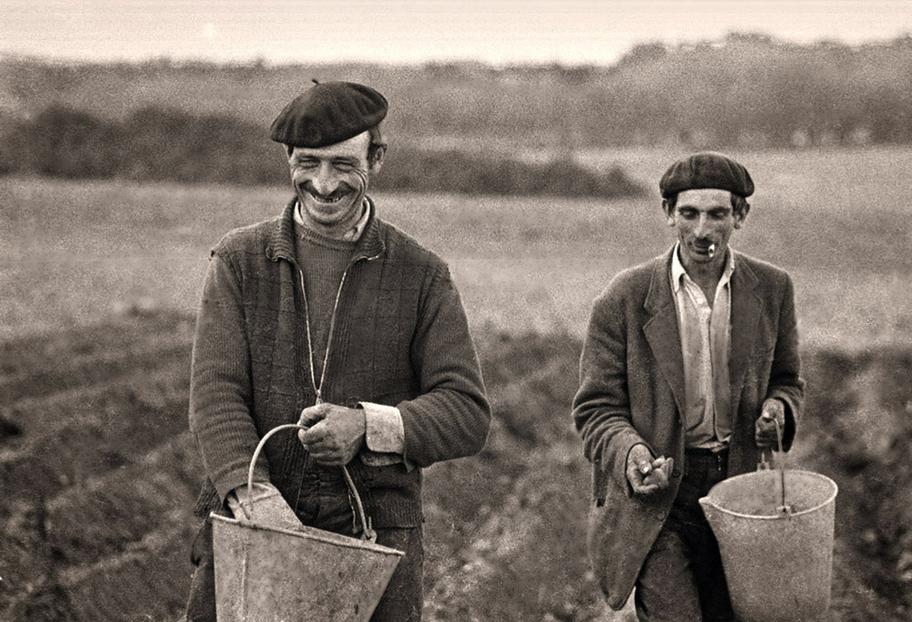 Los sembradores de patatas