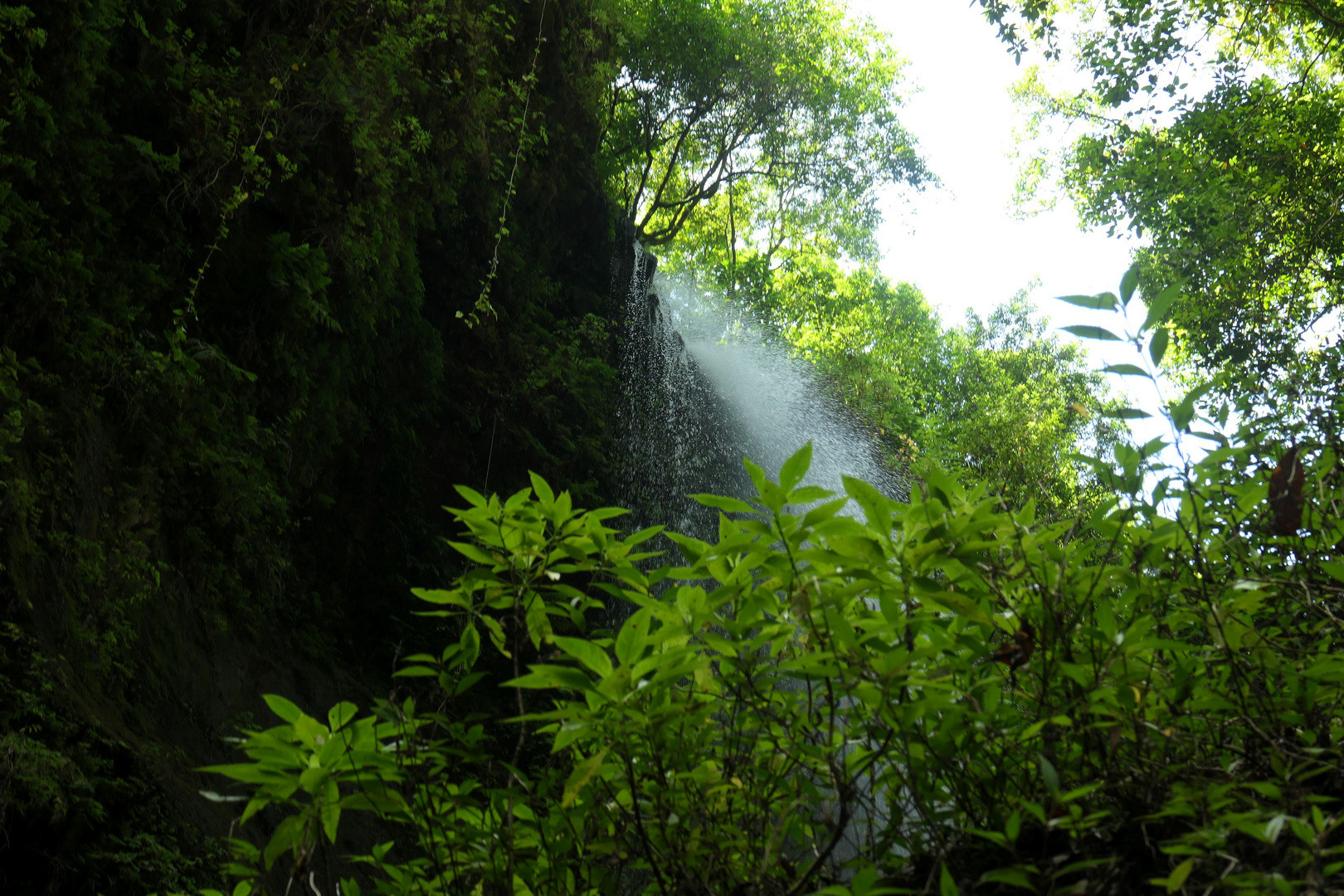 Los Tilos der Wasserfall 1