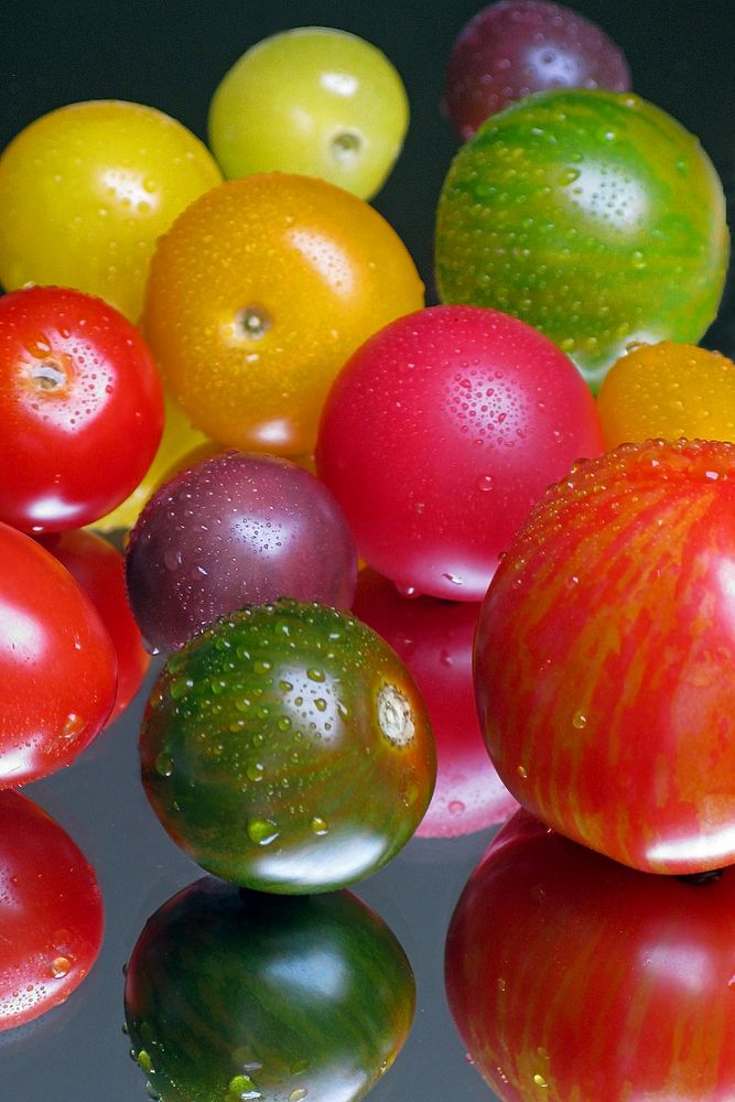 "Los Tomatos" von Kristin Schultz 