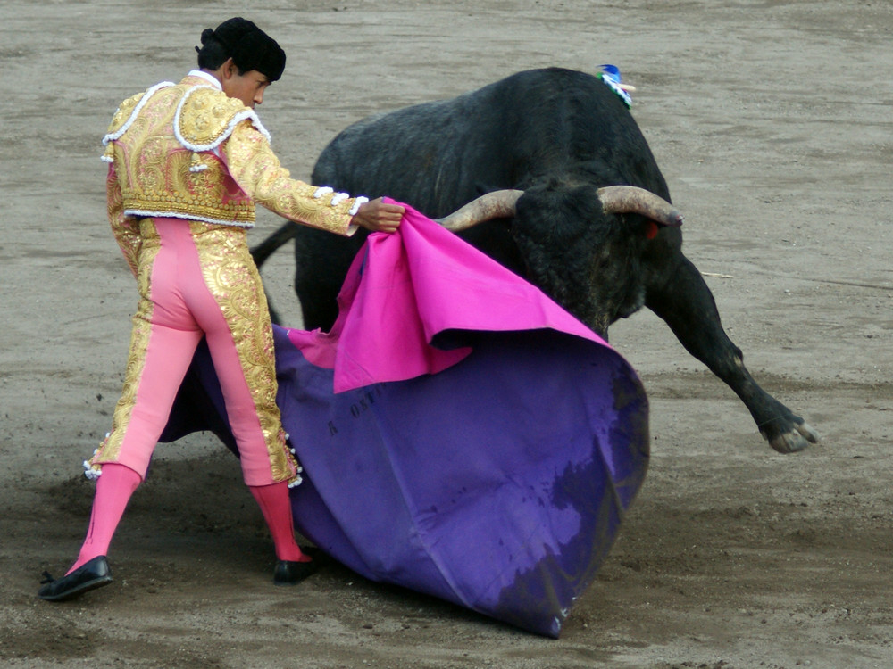 Los Toros 1