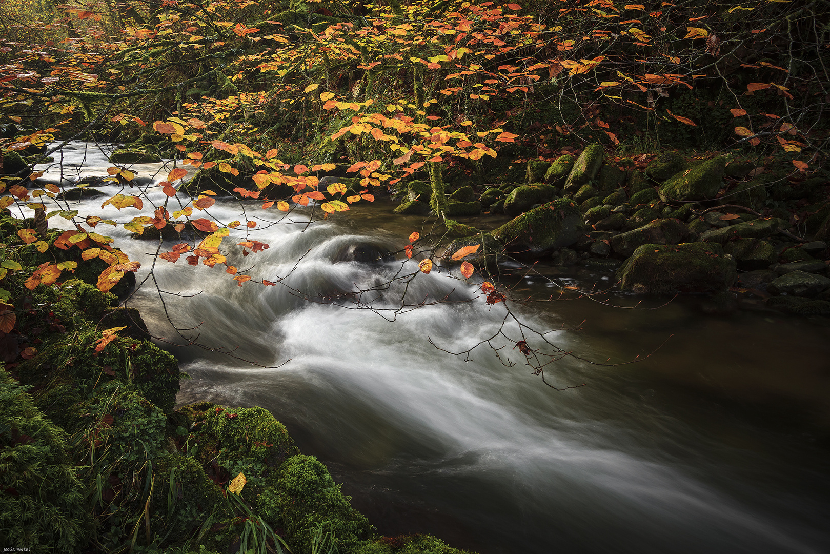 Los últimos colores del otoño.