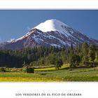 LOS VERDORES DE EL "PICO DE ORIZABA"