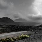 Los Volcanes Natural Park