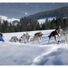 Los - weiter - gleich sind wir oben!