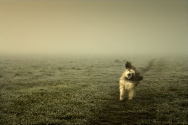 ... los wir machen kunst!...