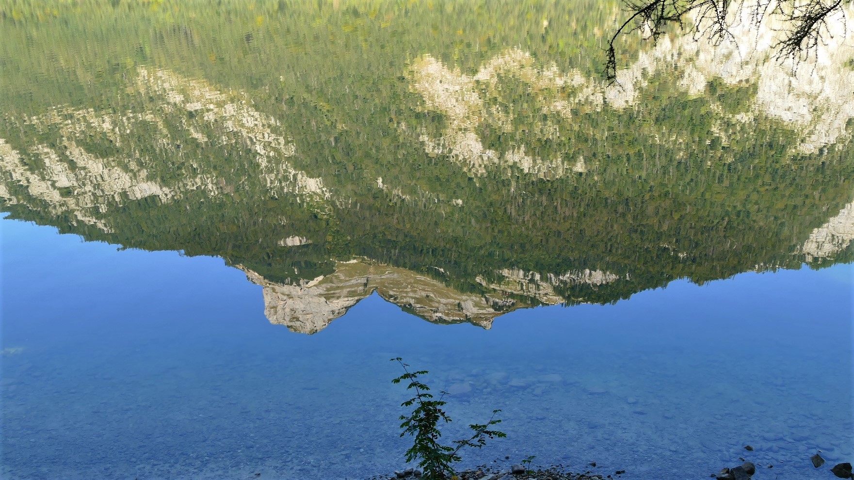 Loserspiegelung im Altauseer See