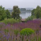 Losheim am See