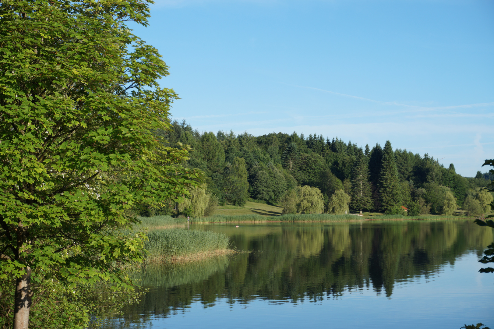 Losheimer Stausee