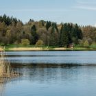 Losheimer Stausee im Frühjahr 2018