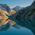 loslassen und die Natur zulassen