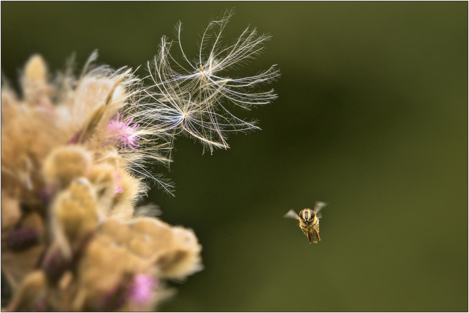 loslassen und fliegen