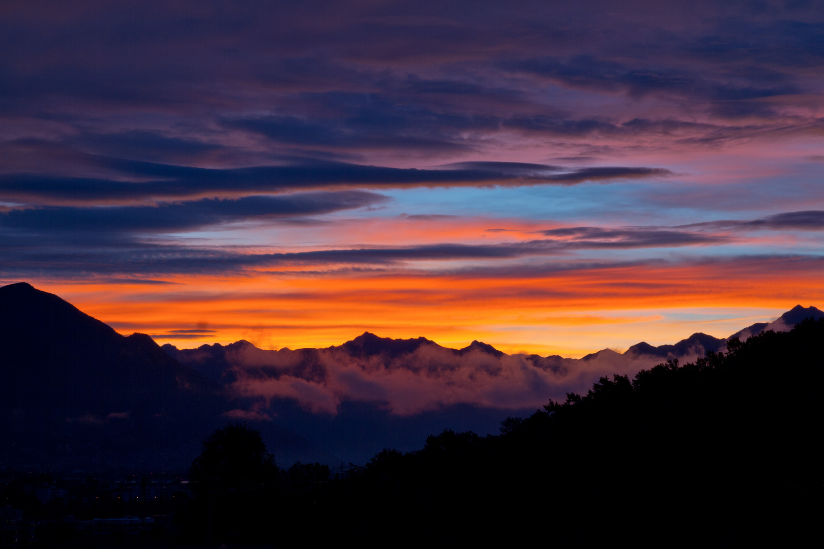 losone alba