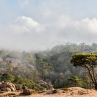 L'Ospédale : en route pour la cascade 