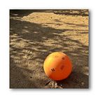 lost ball (Martin Niemöller Platz/Wuppertal Arrenberg)