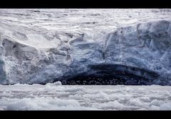 lost beauty (Spitsbergen)