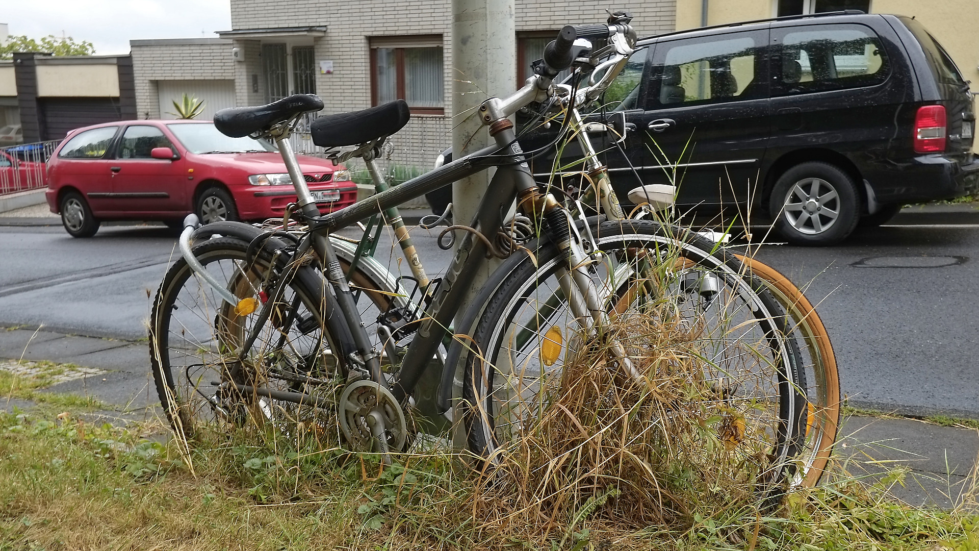 Lost Bicycles in Bonn-Kessenich