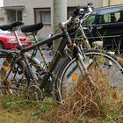 Lost Bicycles in Bonn-Kessenich