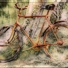 Lost Bike